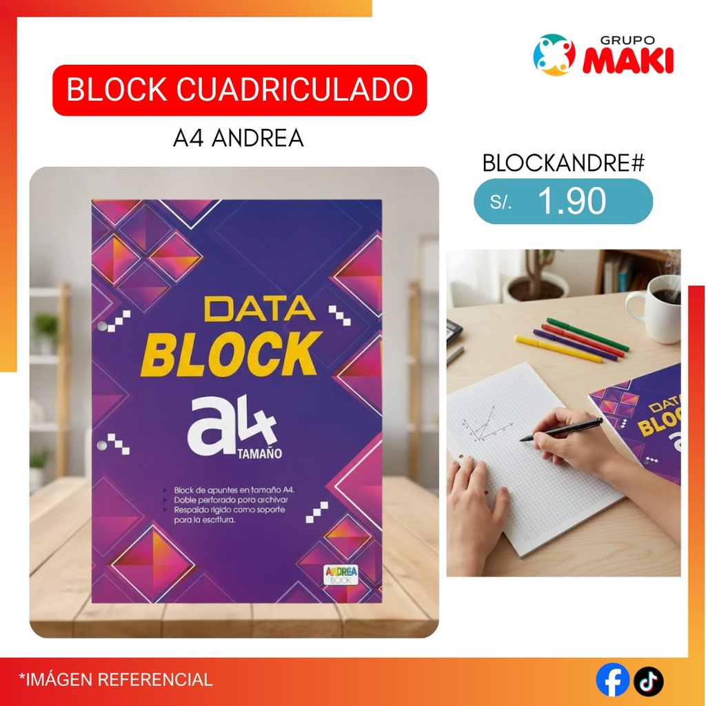 BLOCK CUADRICULADO A4 ANDREA 