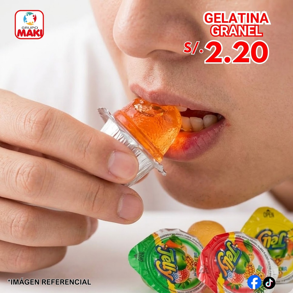 GELATINA A GRANEL X 20UNI 06/07
