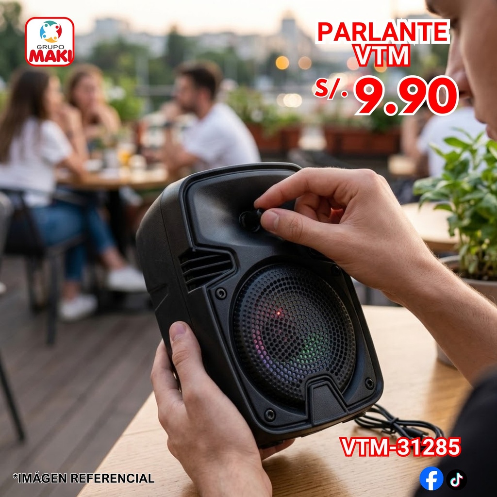 PARLANTE VTM-3128S 22/05
