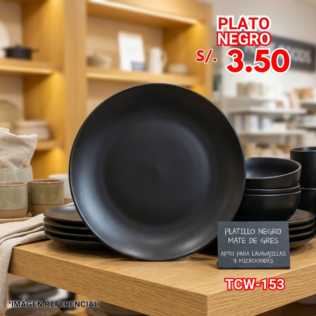PLATO TCW-153 02/05