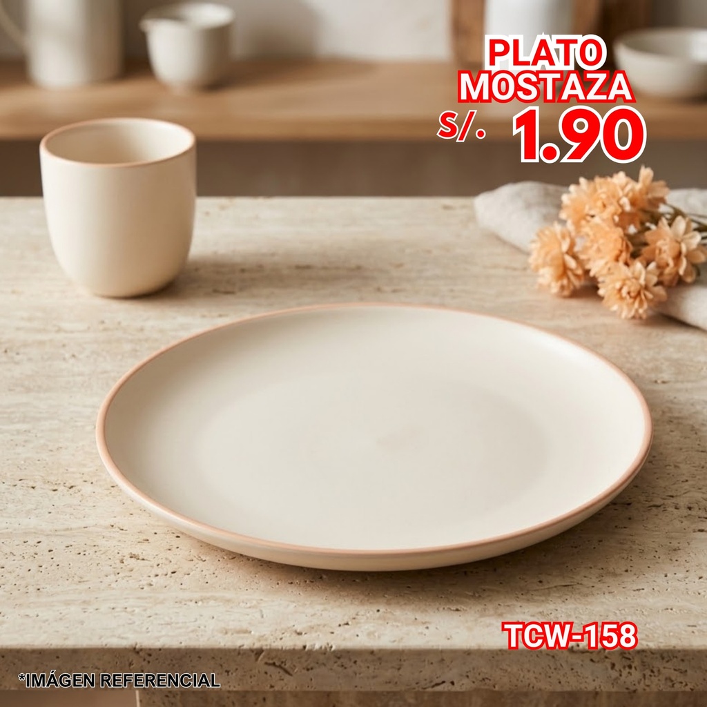 PLATO TCW-158 02/05
